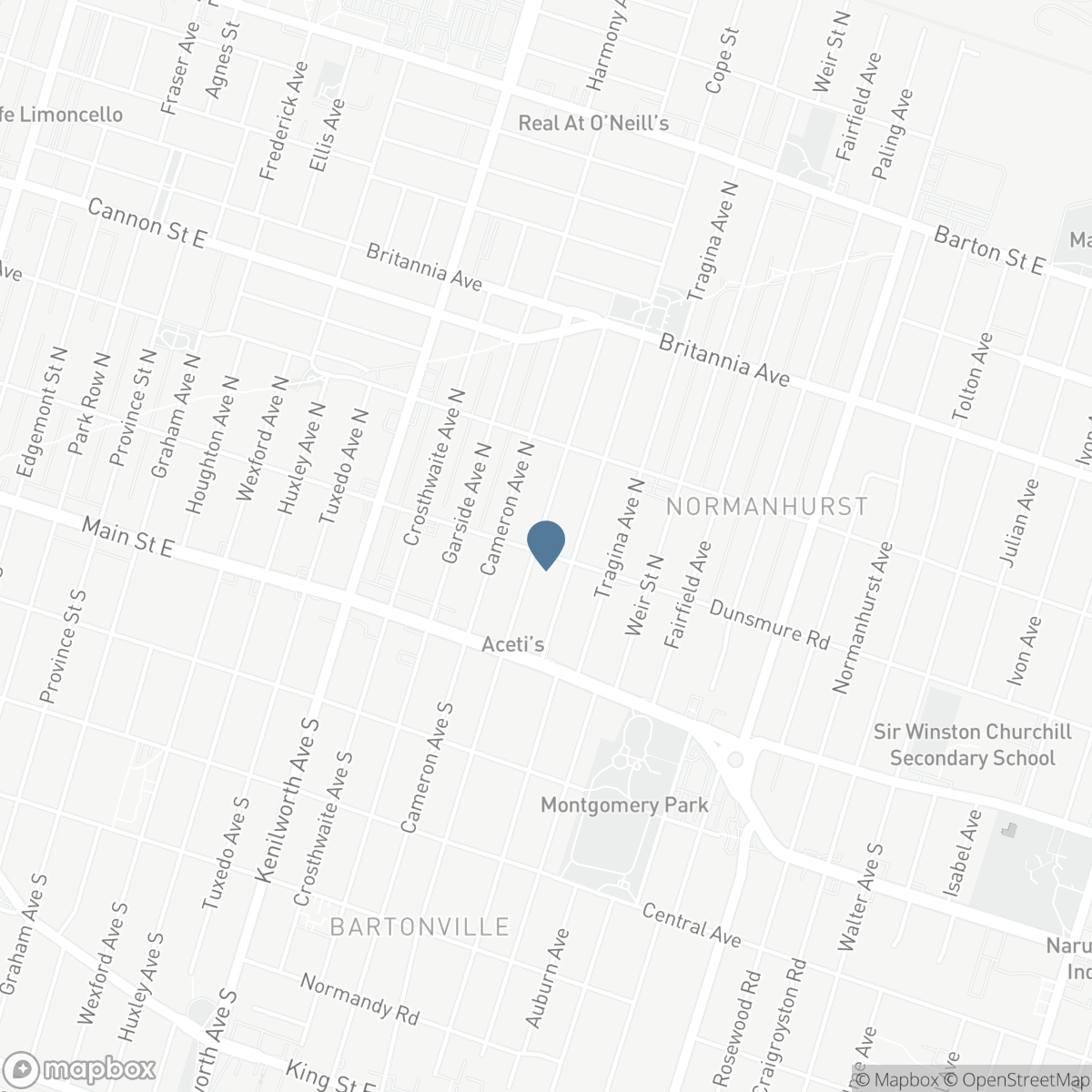 56 BARONS Avenue N, Hamilton, Ontario L8H 5A4
